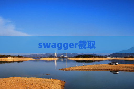 swagger截取